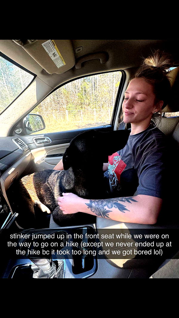 mckinley_1 image ~ Altpins