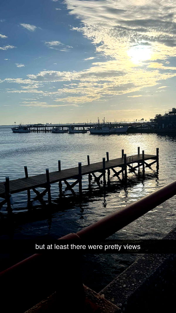 mckinley_1 image ~ Altpins