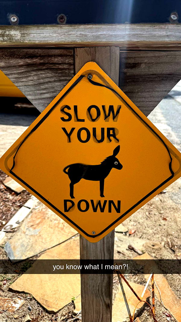 mckinley_1 image ~ Altpins