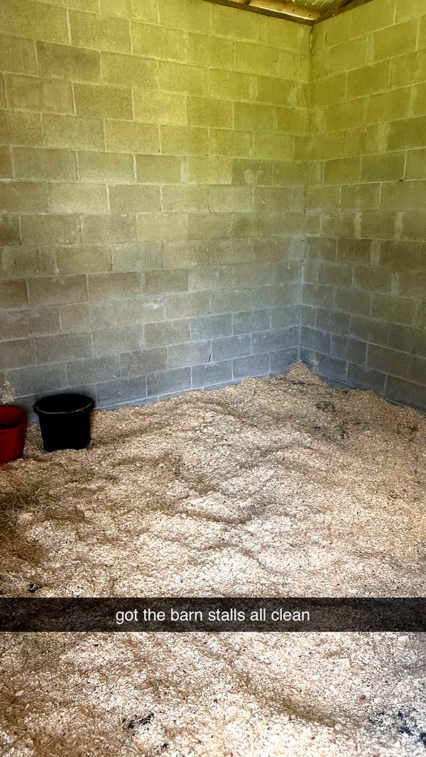 mckinley_1 image ~ Altpins