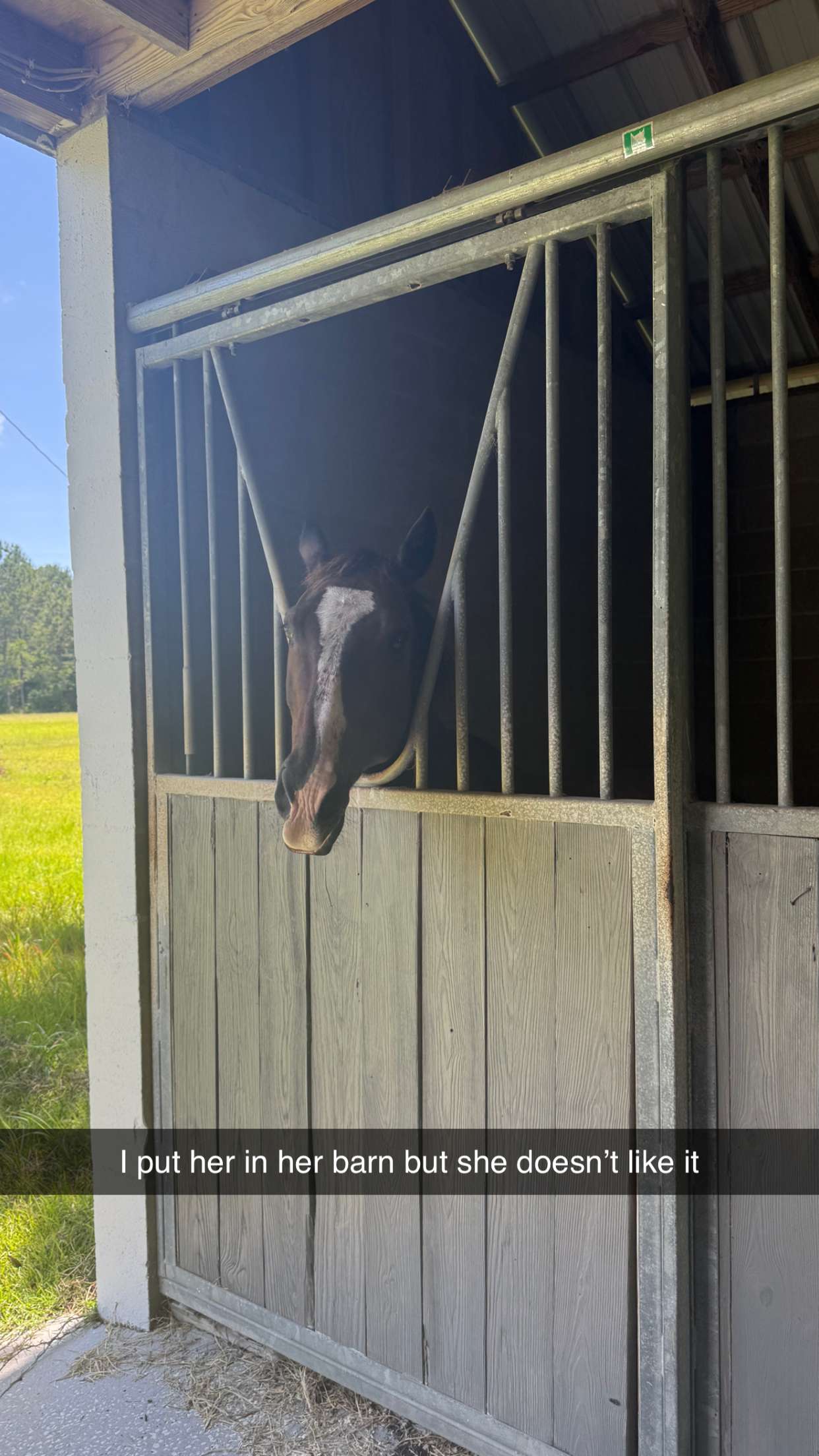 mckinley_1 snapchat image archive image