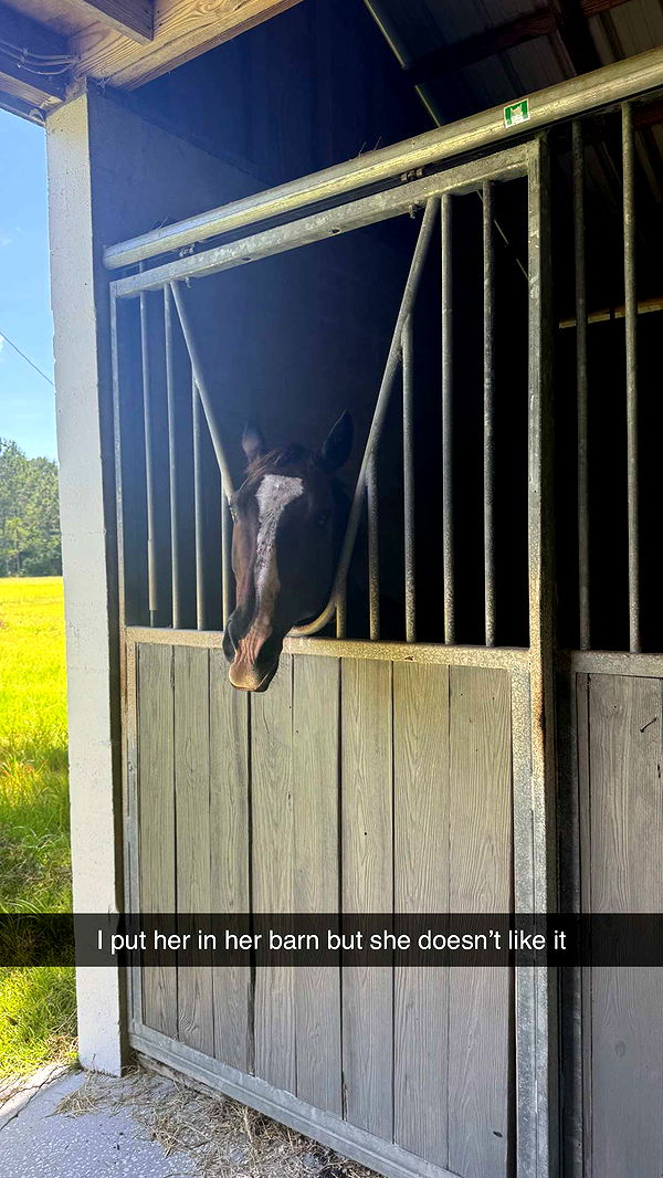 mckinley_1 image ~ Altpins