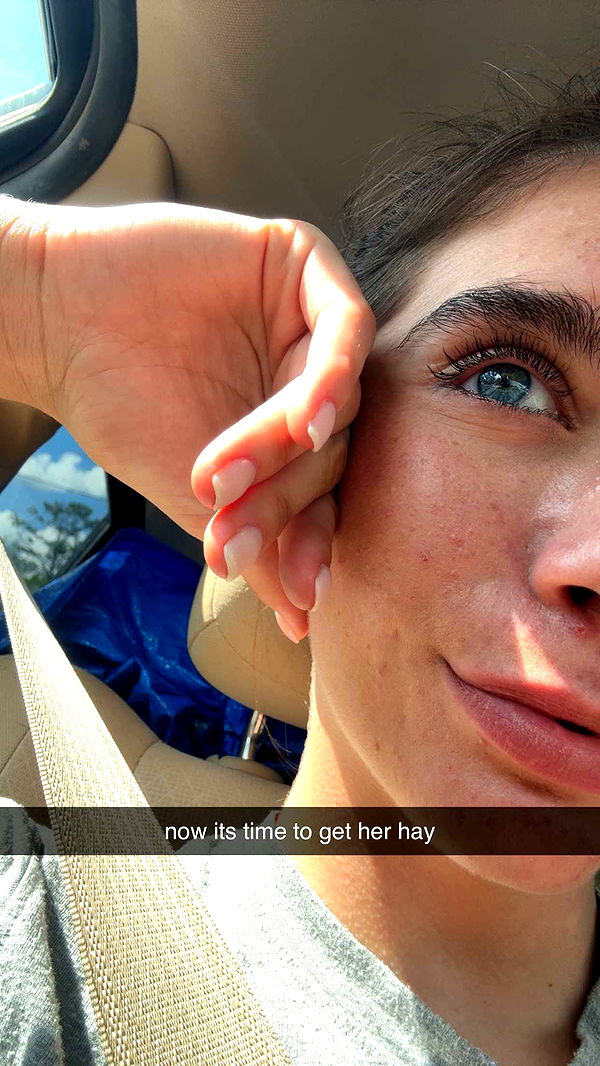 mckinley_1 image ~ Altpins