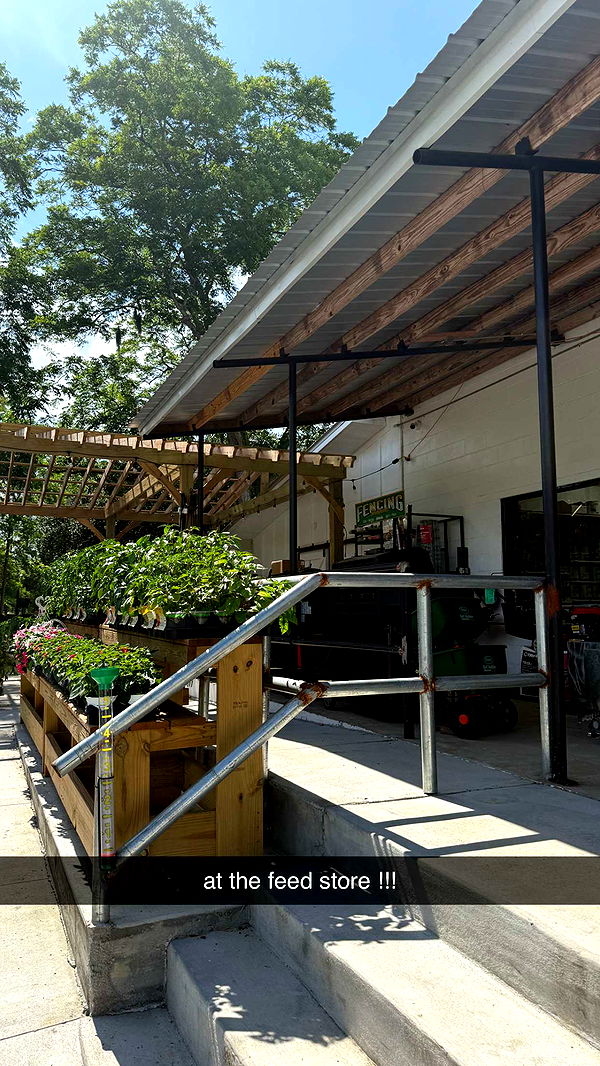 mckinley_1 image ~ Altpins