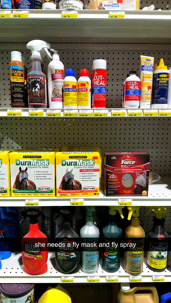 mckinley_1 image ~ Altpins