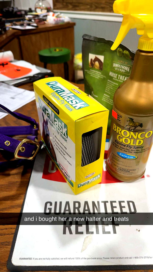 mckinley_1 image ~ Altpins