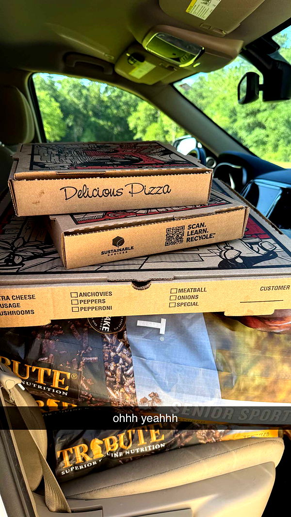 mckinley_1 image ~ Altpins