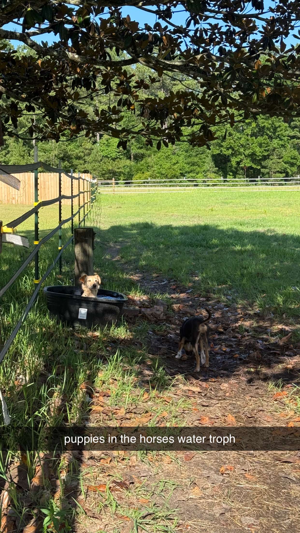 mckinley_1 snapchat image archive image