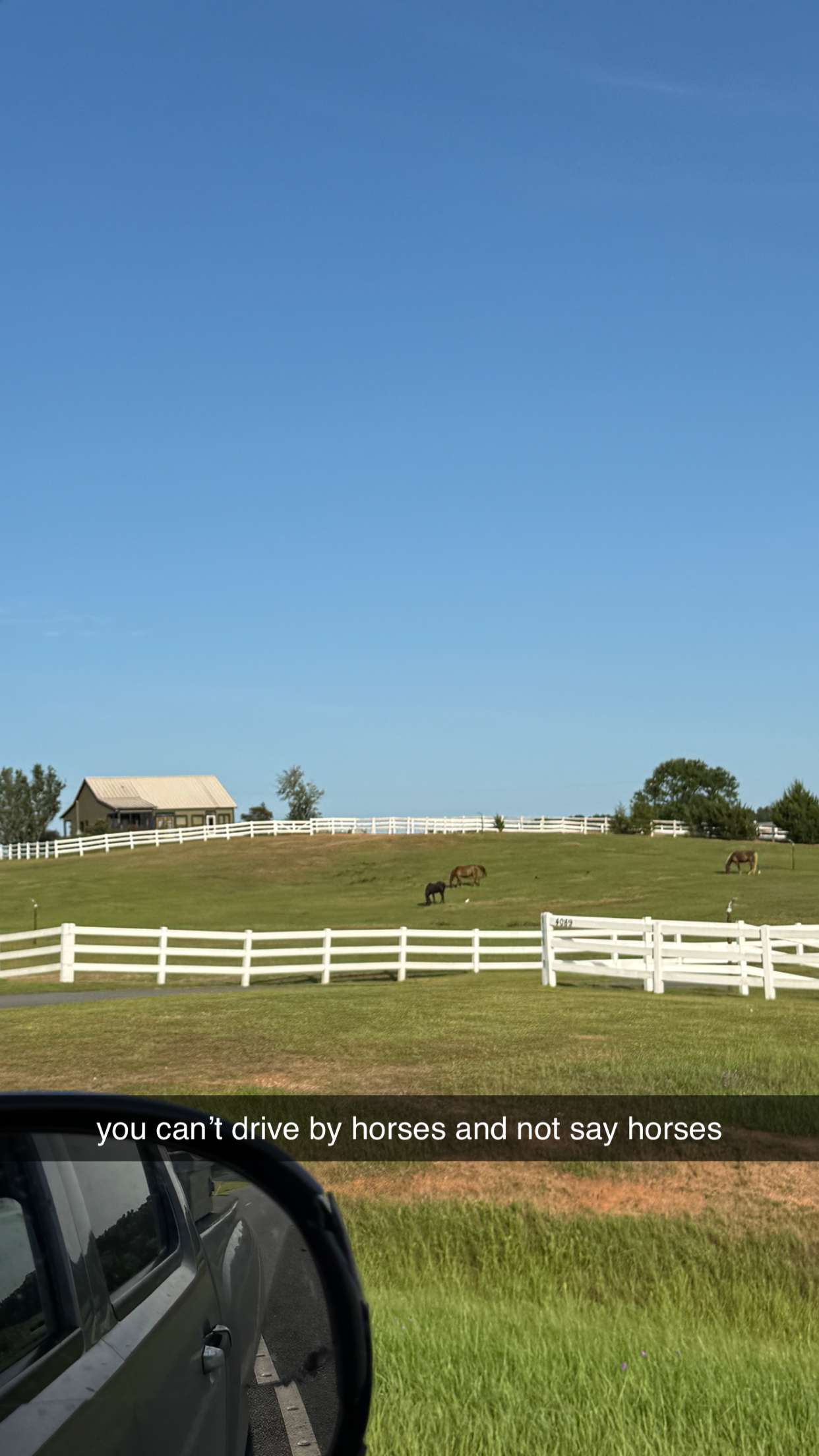 mckinley_1 snapchat image archive image