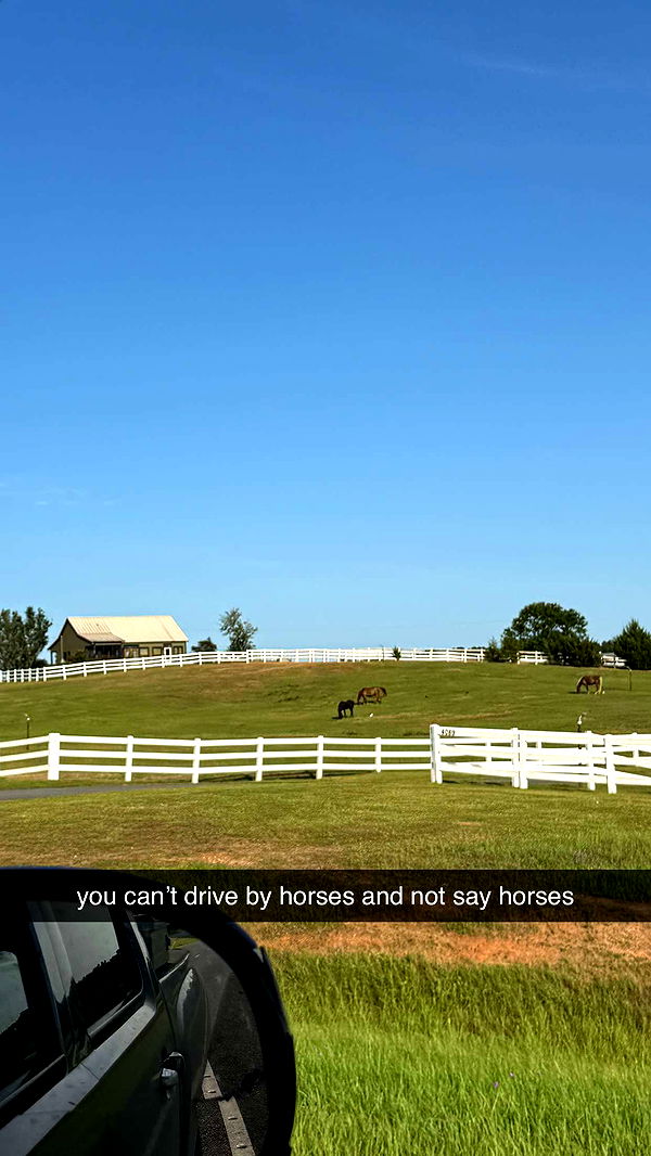 mckinley_1 image ~ Altpins