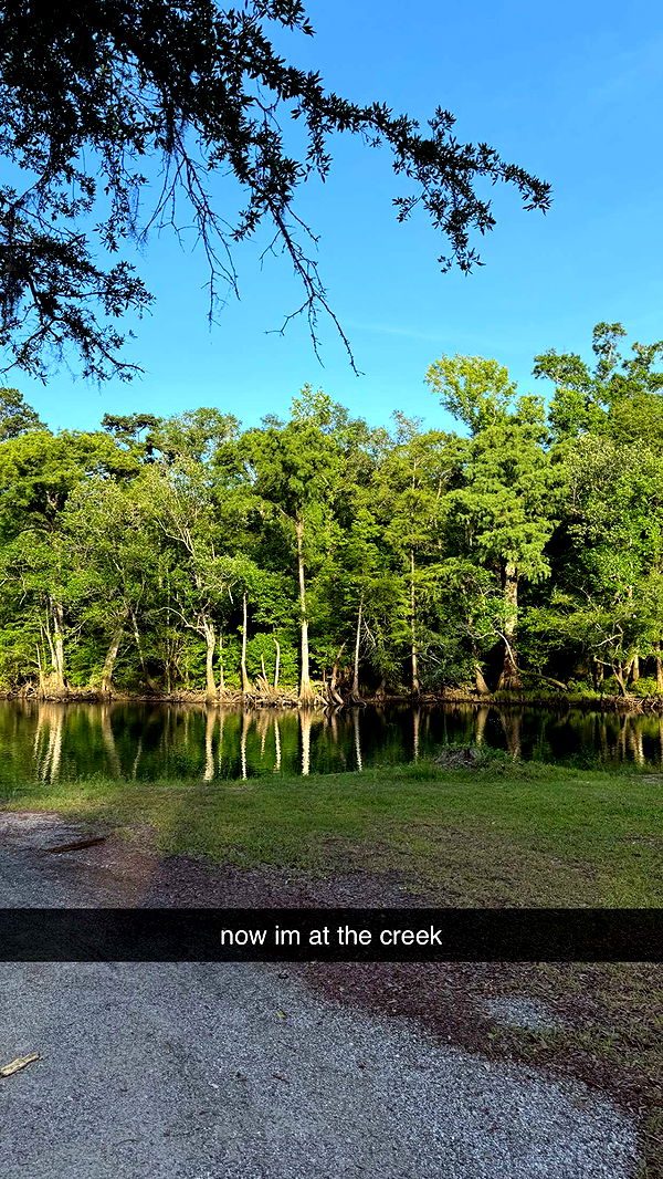 mckinley_1 image ~ Altpins