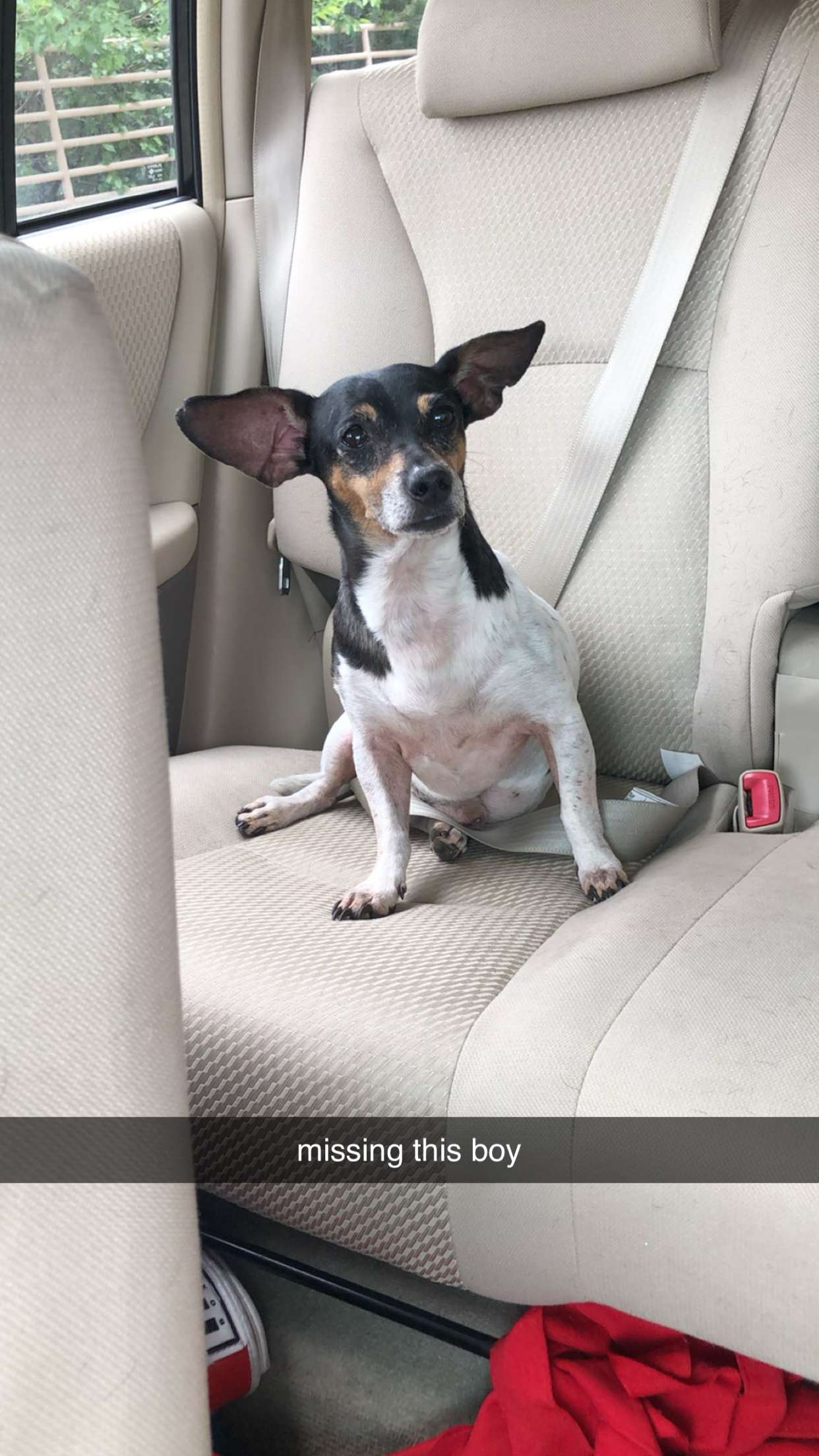 mckinley_1 snapchat image archive image