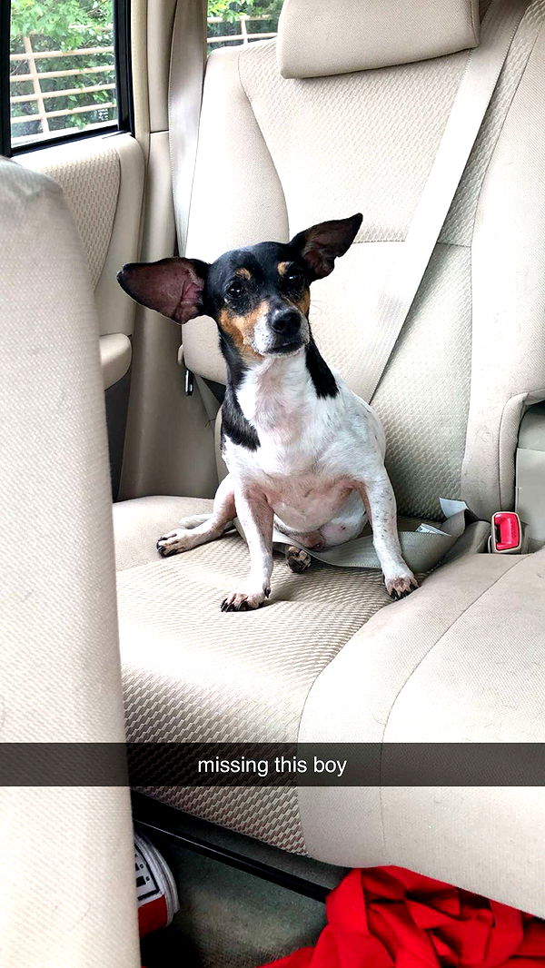 mckinley_1 image ~ Altpins