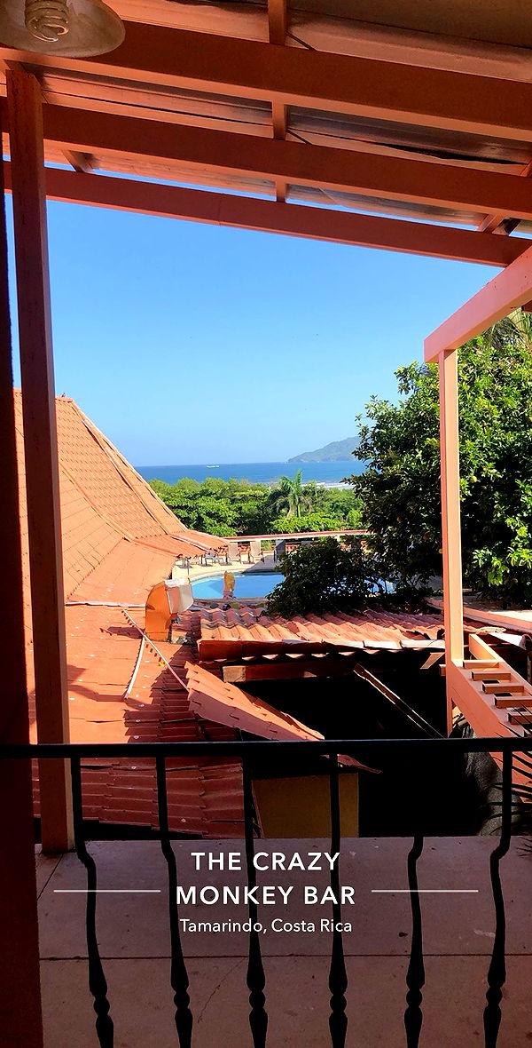 mckinley_1 image ~ Altpins