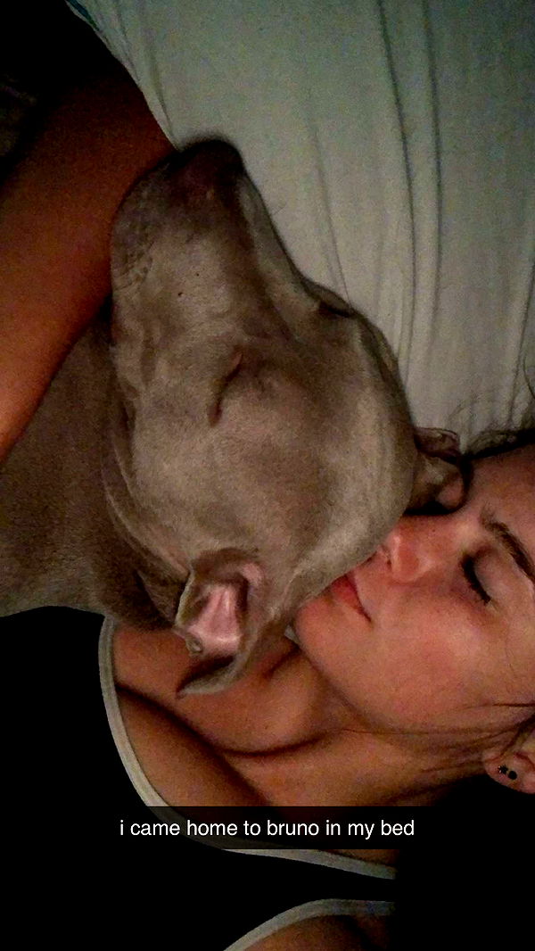 mckinley_1 image ~ Altpins