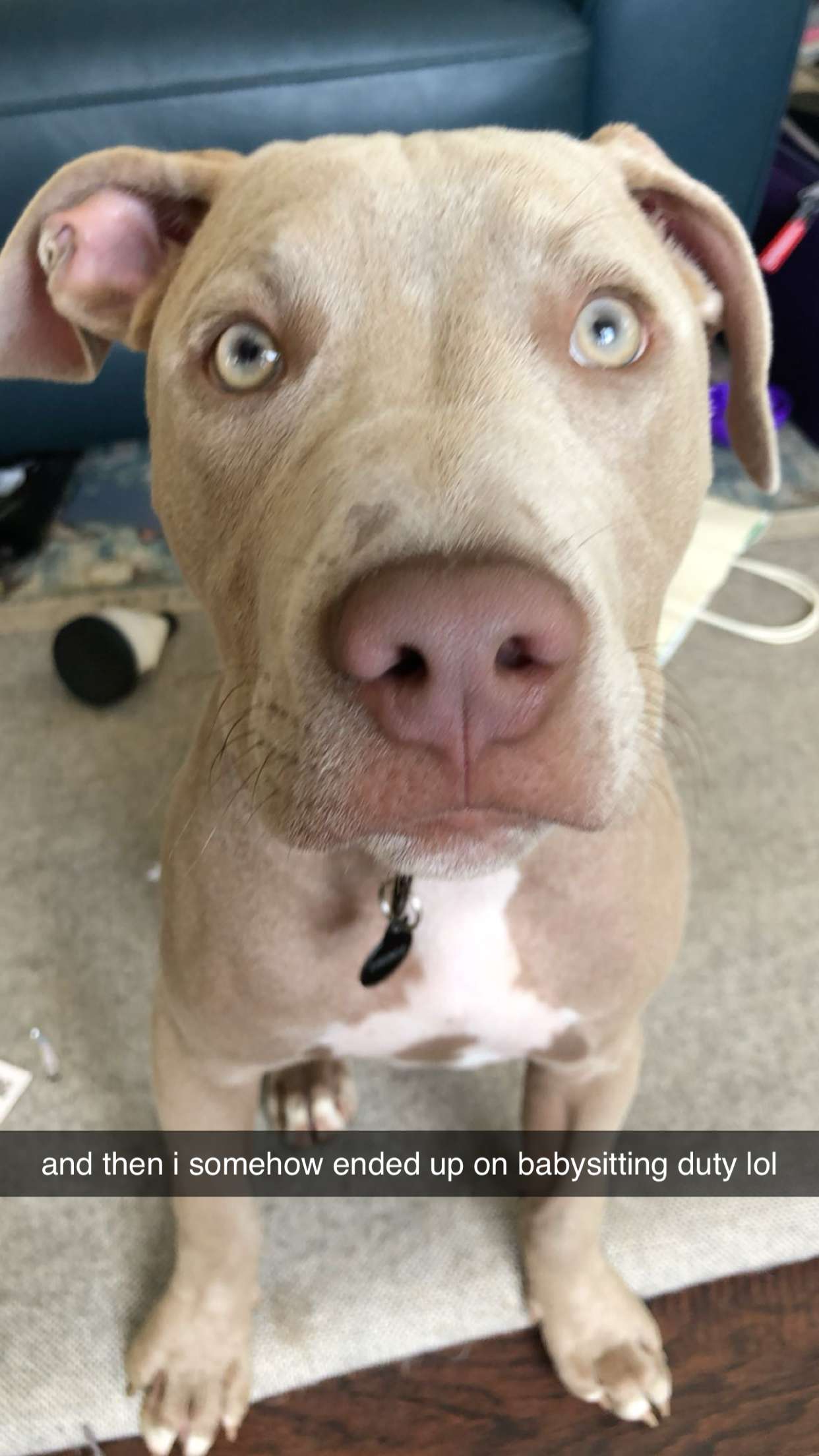 mckinley_1 snapchat image archive image