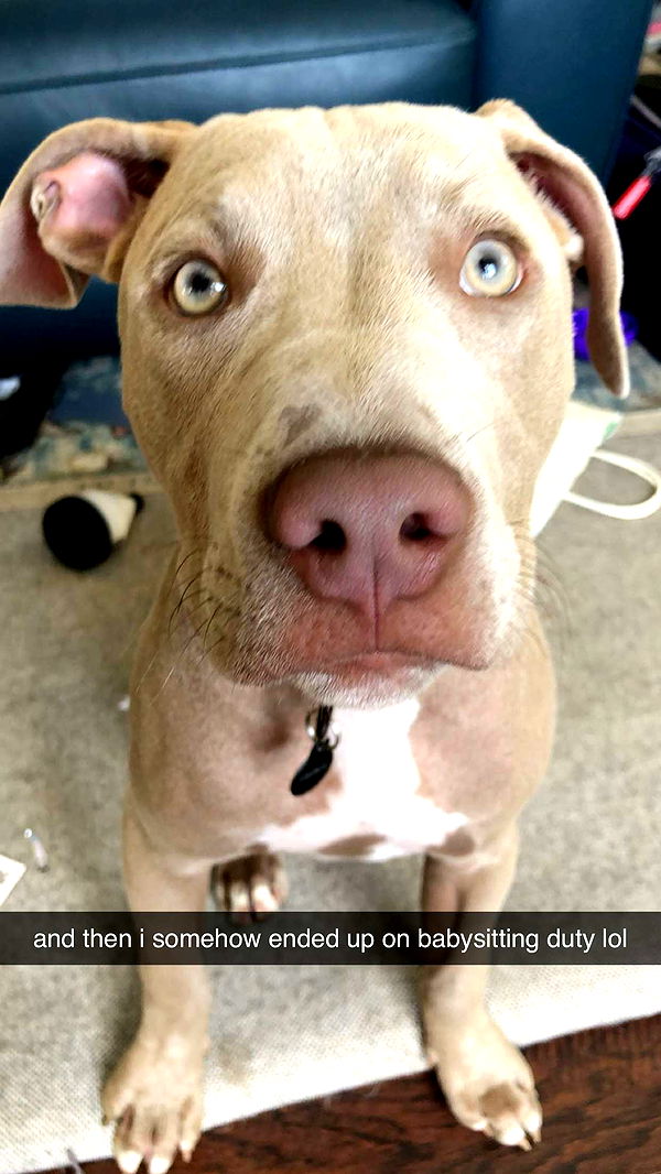 mckinley_1 image ~ Altpins