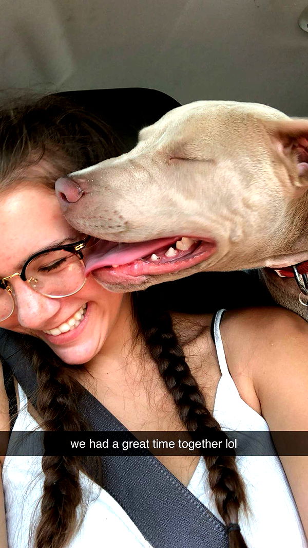 mckinley_1 image ~ Altpins