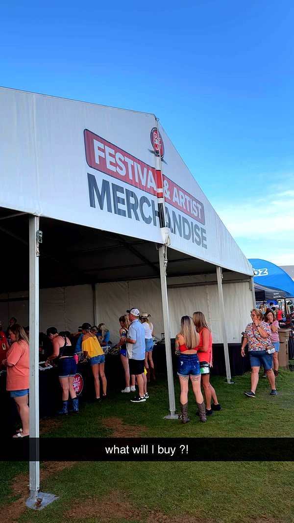 mckinley_1 image ~ Altpins