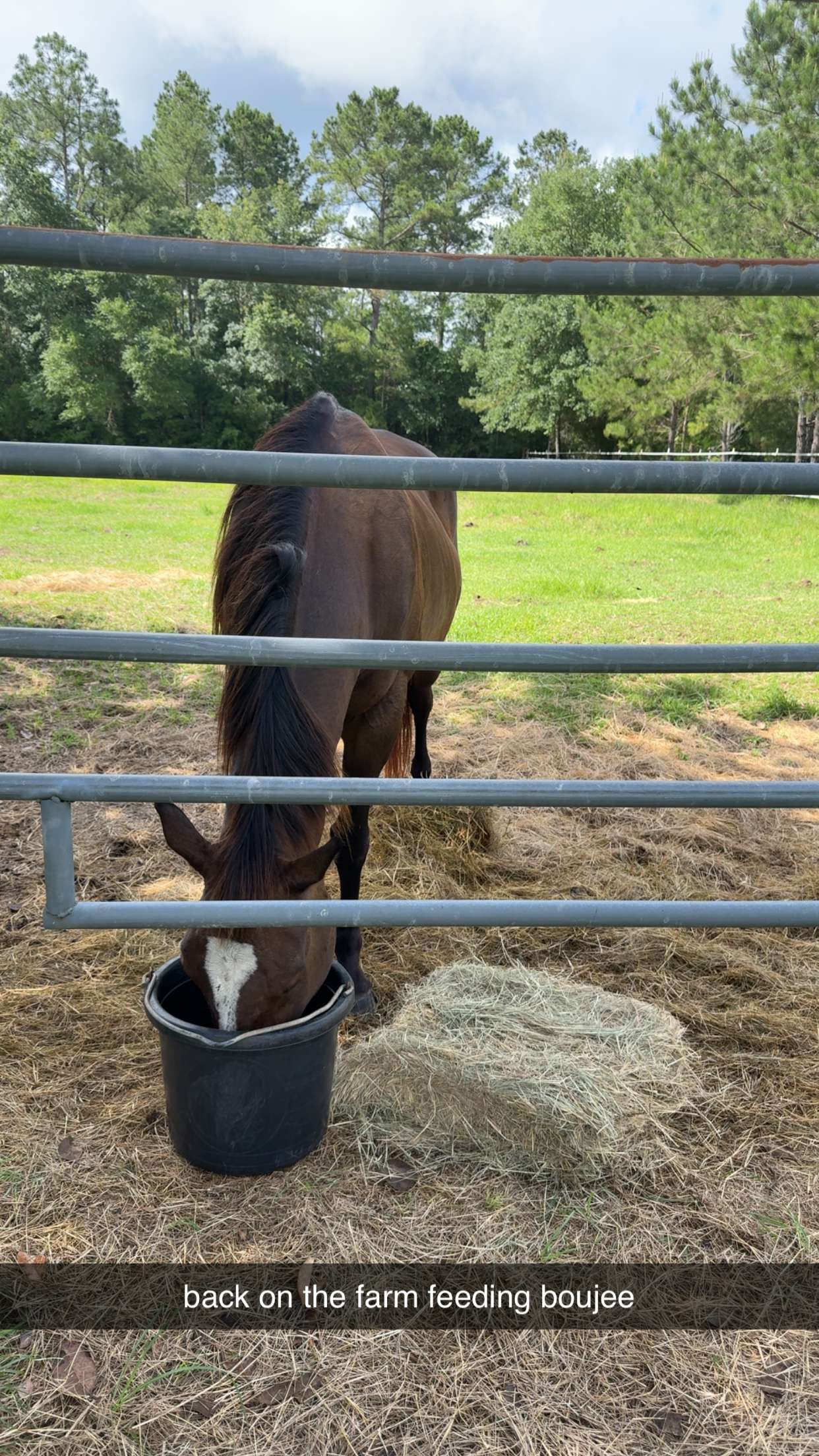 mckinley_1 snapchat image archive image