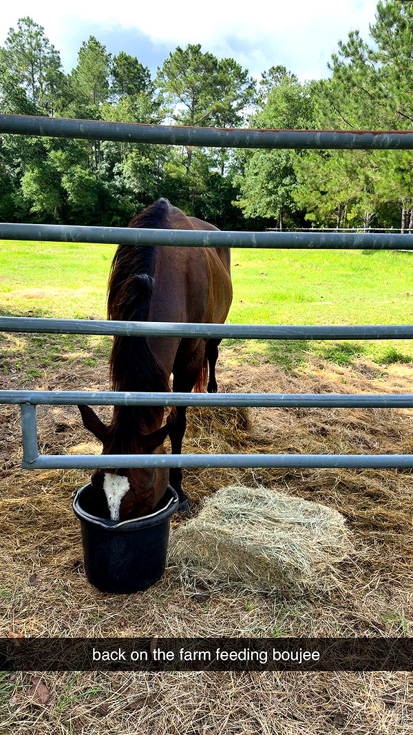 mckinley_1 image ~ Altpins