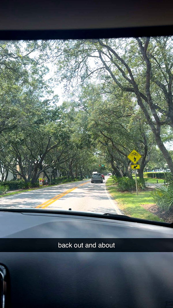 mckinley_1 image ~ Altpins