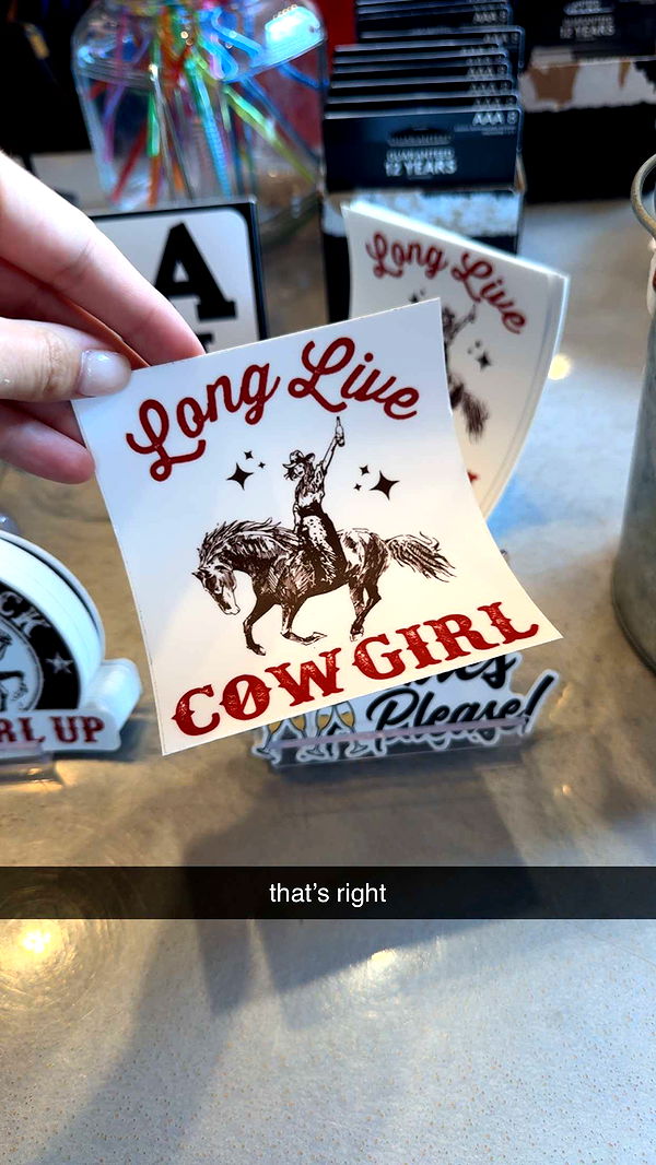 mckinley_1 image ~ Altpins