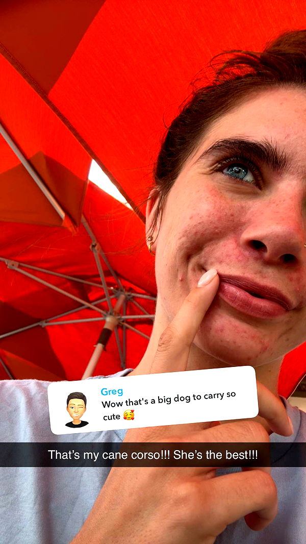 mckinley_1 image ~ Altpins