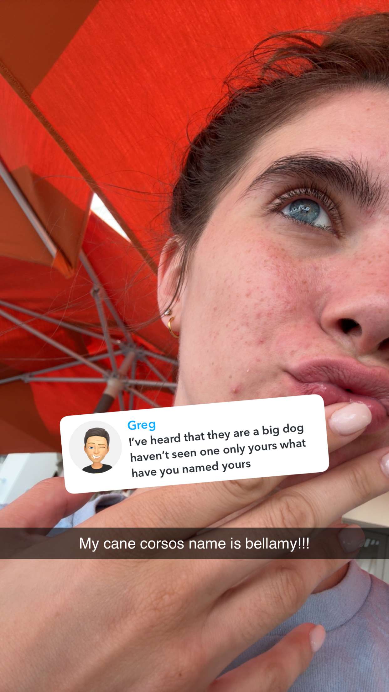 mckinley_1 snapchat image archive image