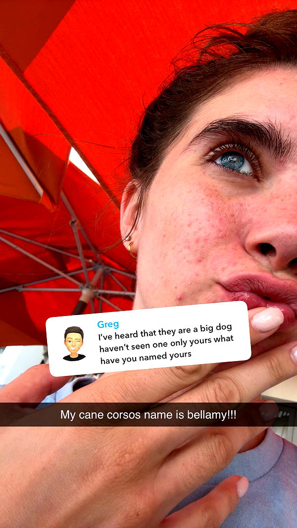 mckinley_1 image ~ Altpins