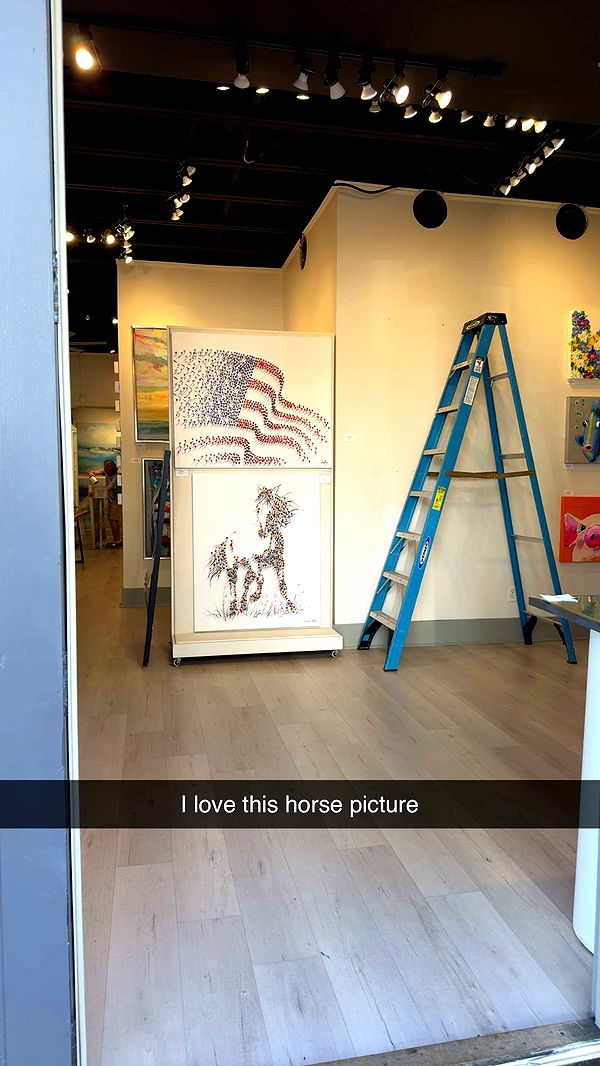 mckinley_1 image ~ Altpins