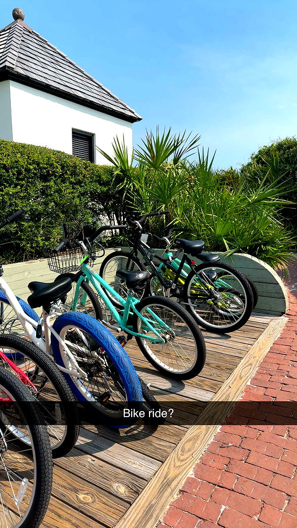 mckinley_1 image ~ Altpins