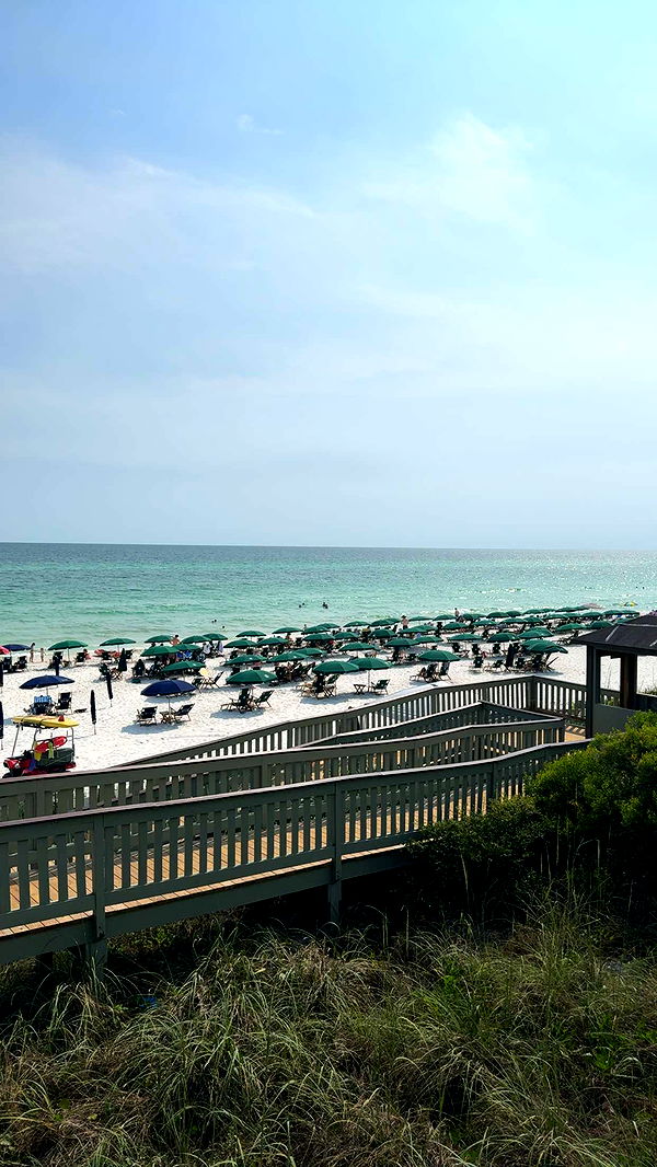 mckinley_1 image ~ Altpins