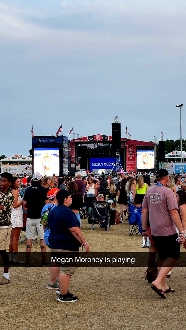 mckinley_1 image ~ Altpins