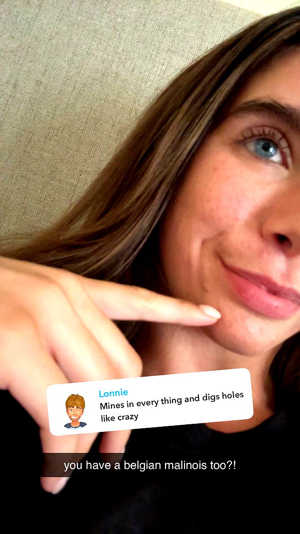 mckinley_1 image ~ Altpins