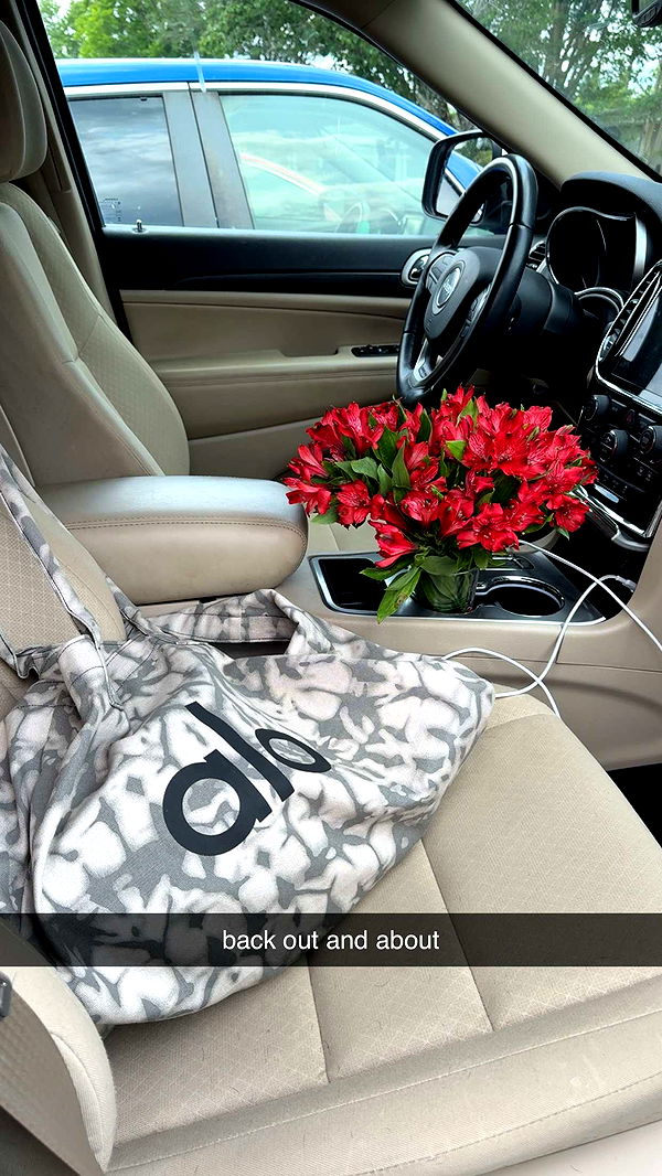 mckinley_1 image ~ Altpins