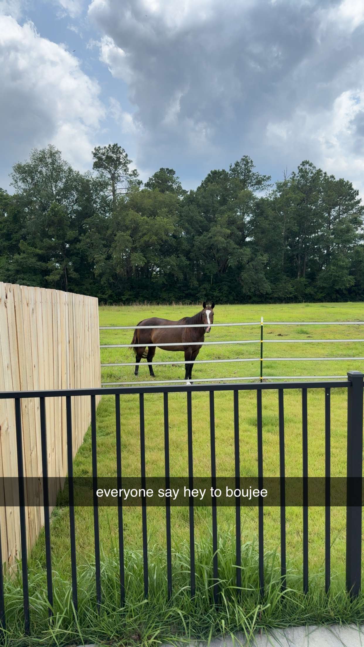 mckinley_1 snapchat image archive image