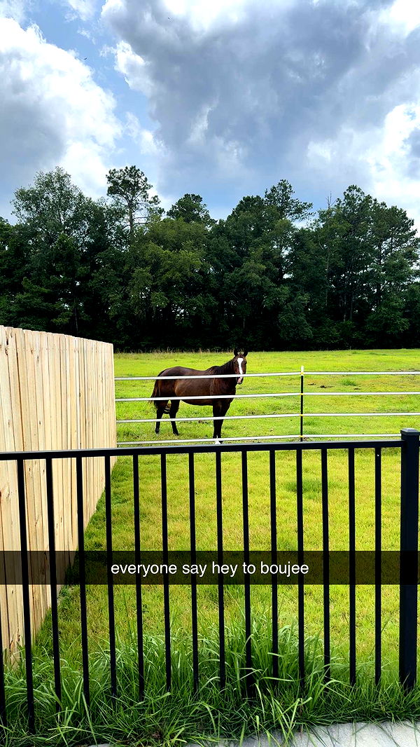 mckinley_1 image ~ Altpins