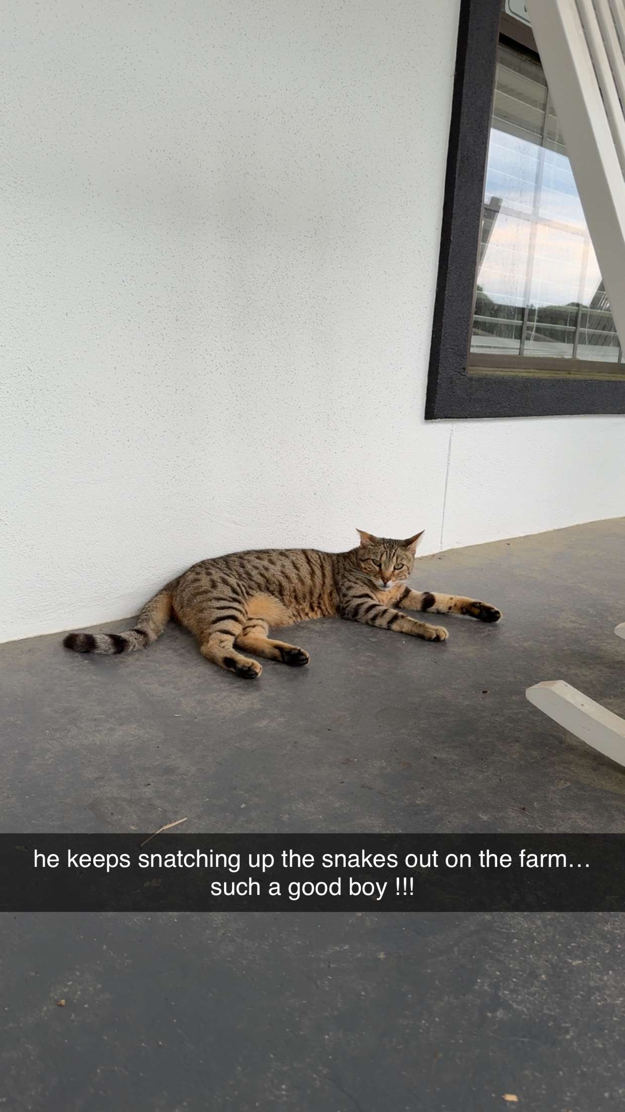 mckinley_1 snapchat image archive image