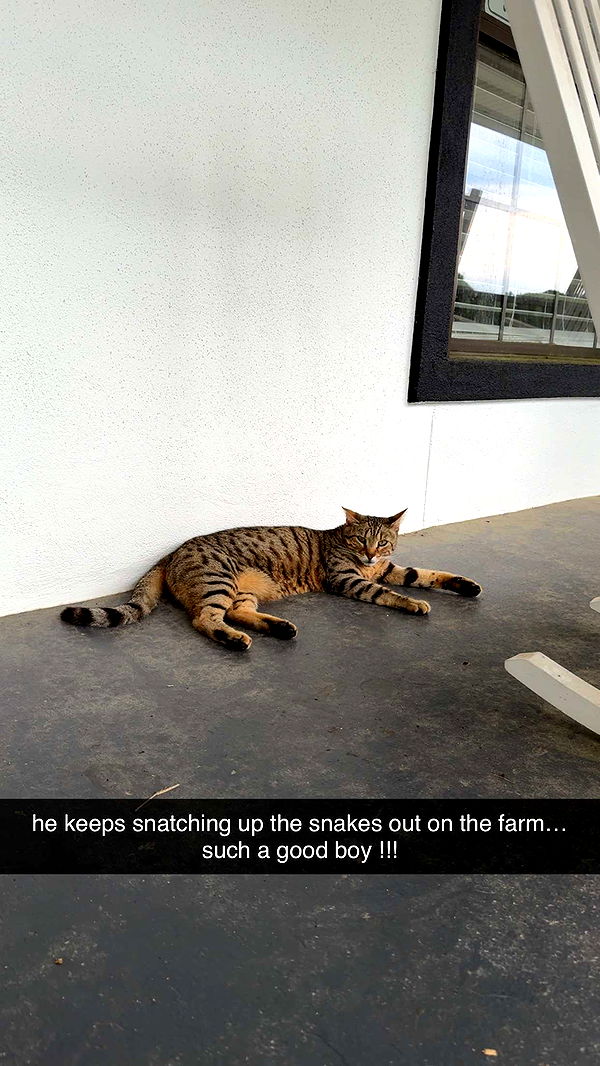 mckinley_1 image ~ Altpins