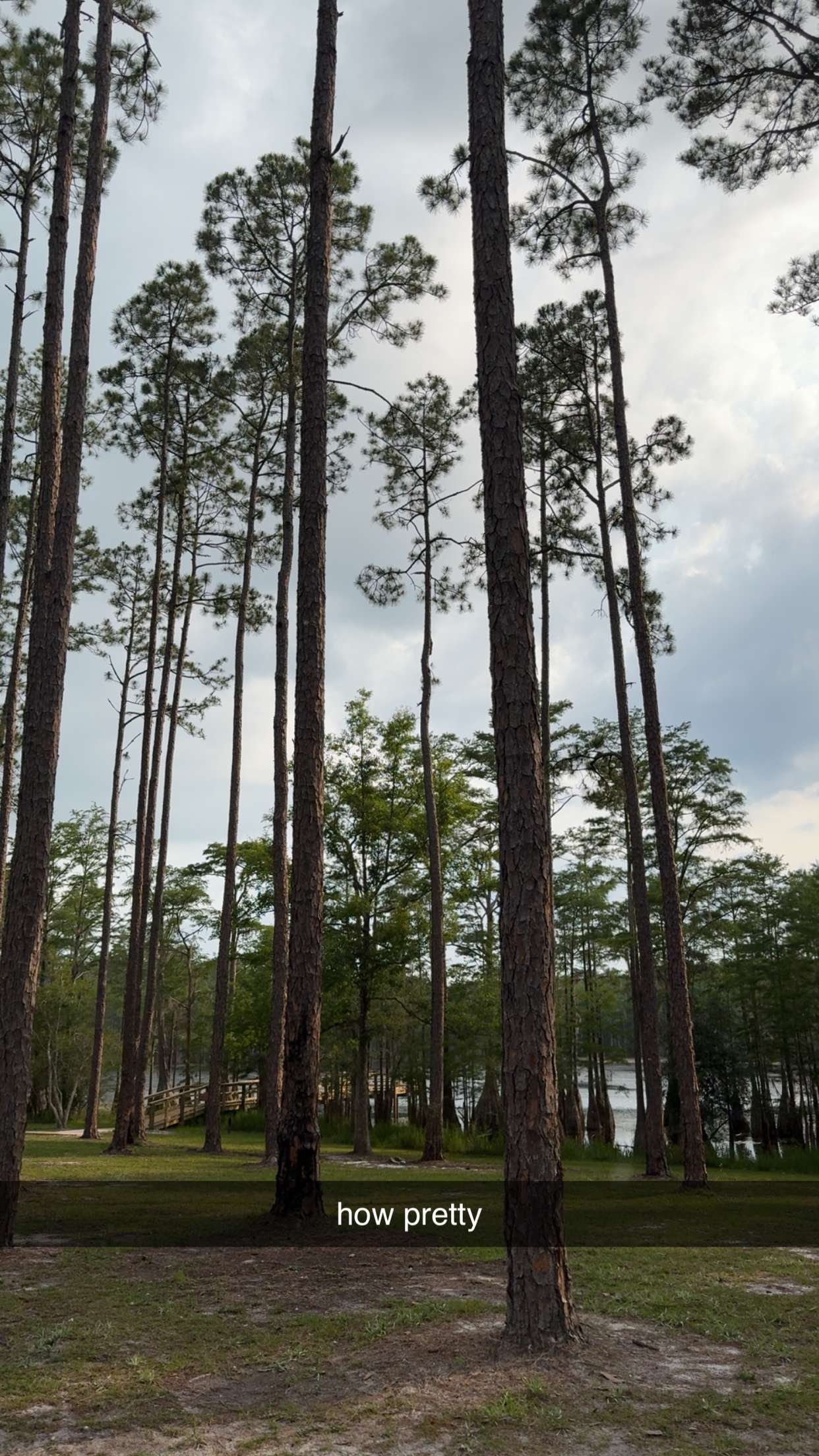 mckinley_1 snapchat image archive image