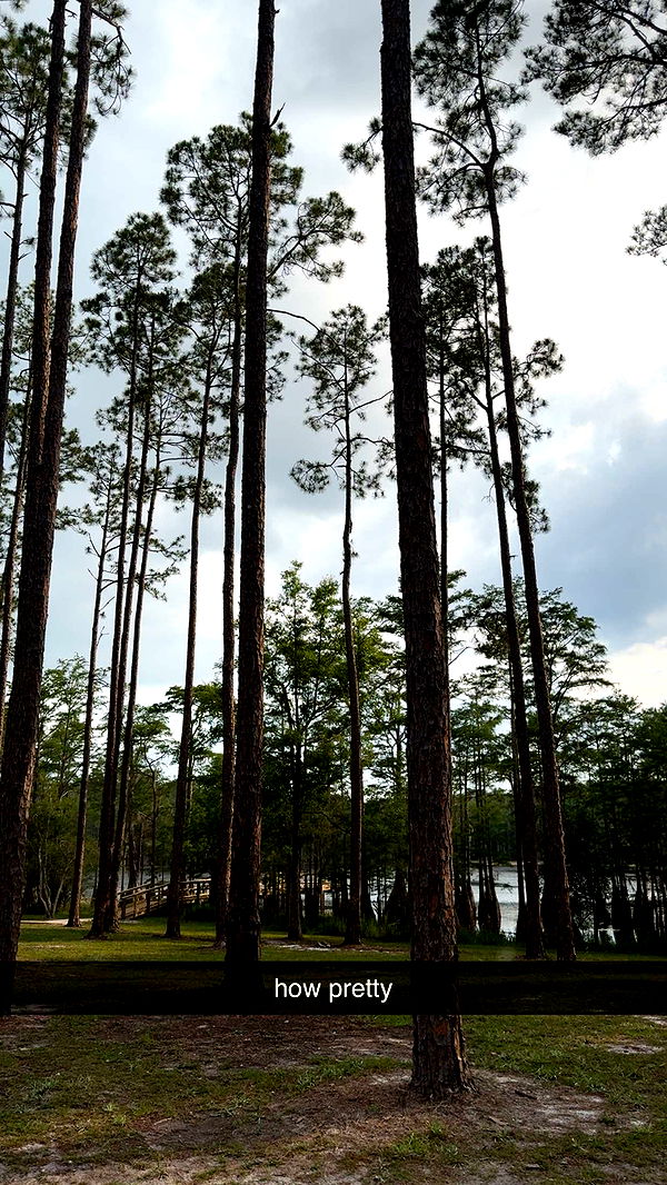 mckinley_1 image ~ Altpins