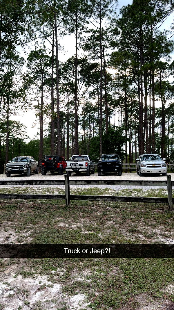 mckinley_1 image ~ Altpins