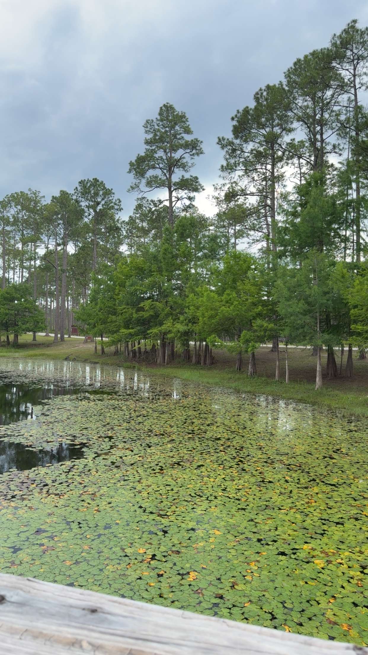 mckinley_1 snapchat image archive image