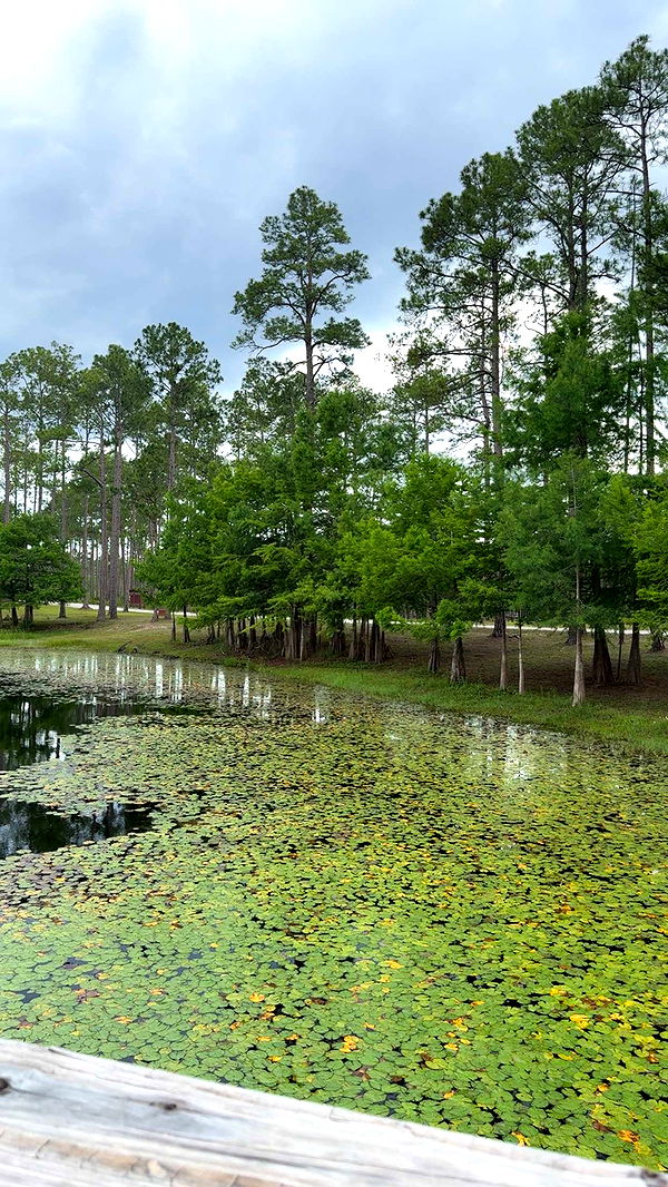 mckinley_1 image ~ Altpins