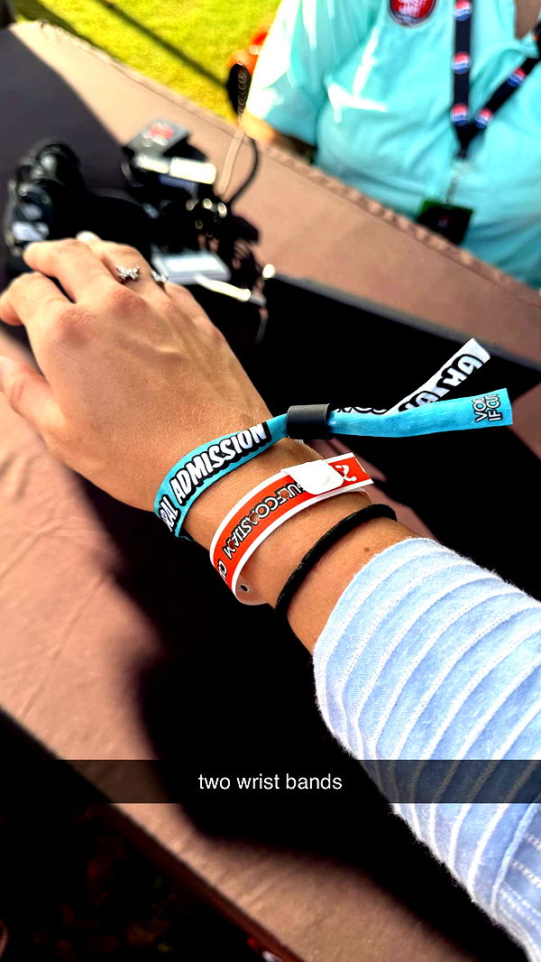 mckinley_1 image ~ Altpins