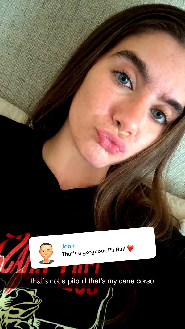 mckinley_1 image ~ Altpins