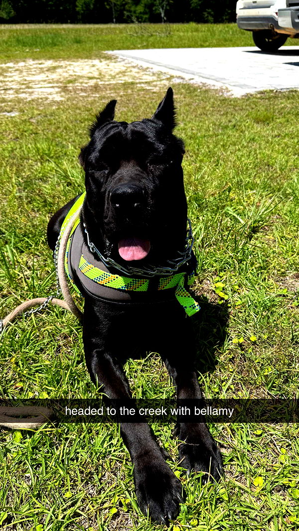 mckinley_1 image ~ Altpins