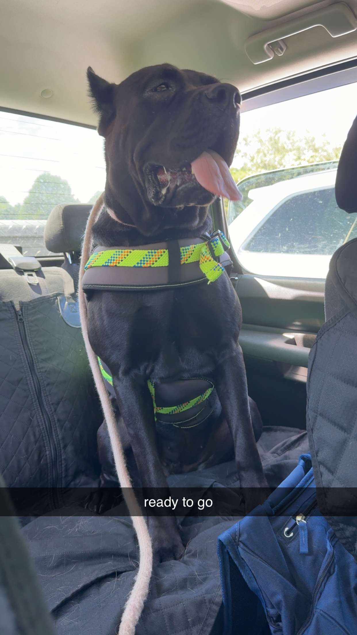 mckinley_1 snapchat image archive image