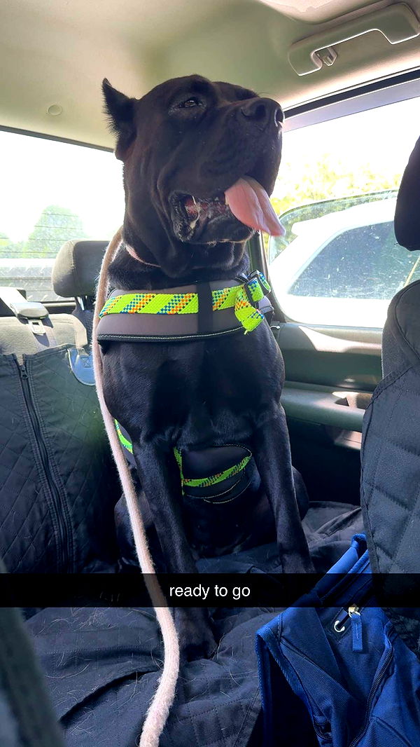 mckinley_1 image ~ Altpins